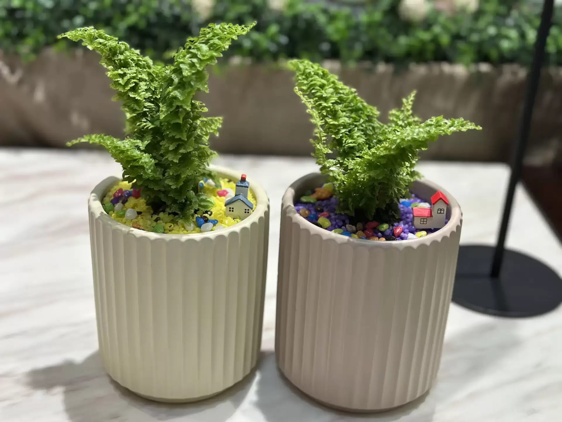宜蘭寵物禮儀-星旅程寵物生命紀念-0705專屬紀念品2 宜蘭寵物禮儀-星旅程寵物生命紀念-0705專屬紀念品2