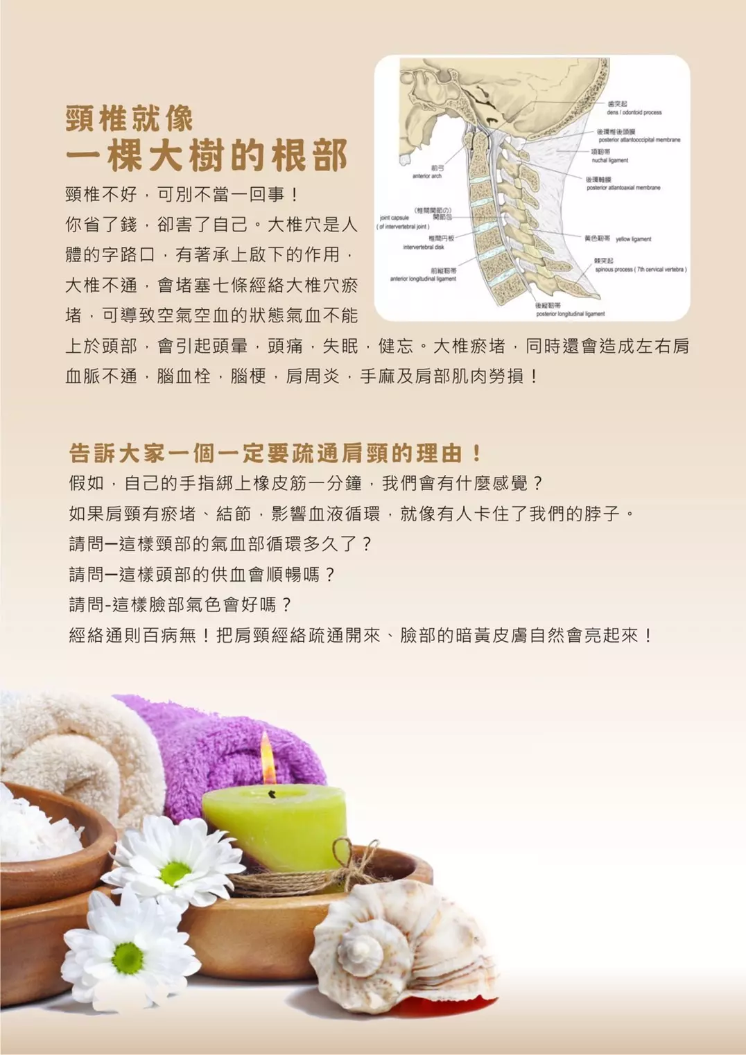 亞菲妮斯美學美容-鳳山皮膚管理、大寮SPA按摩專業推薦-最新消息 (31)
