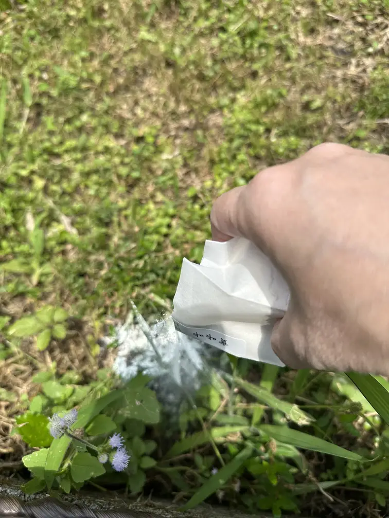 宜蘭寵物禮儀-星旅程寵物生命紀念-0803實景拍攝1