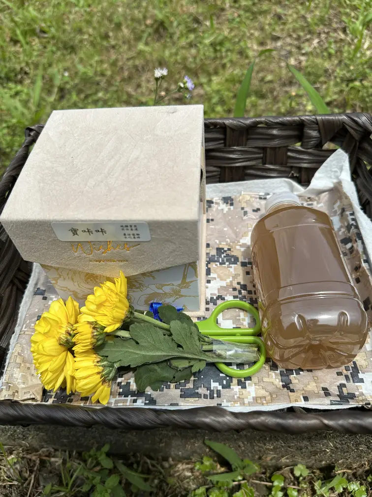 宜蘭寵物禮儀-星旅程寵物生命紀念-0803實景拍攝8