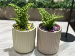 宜蘭寵物禮儀-星旅程寵物生命紀念-0705專屬紀念品2